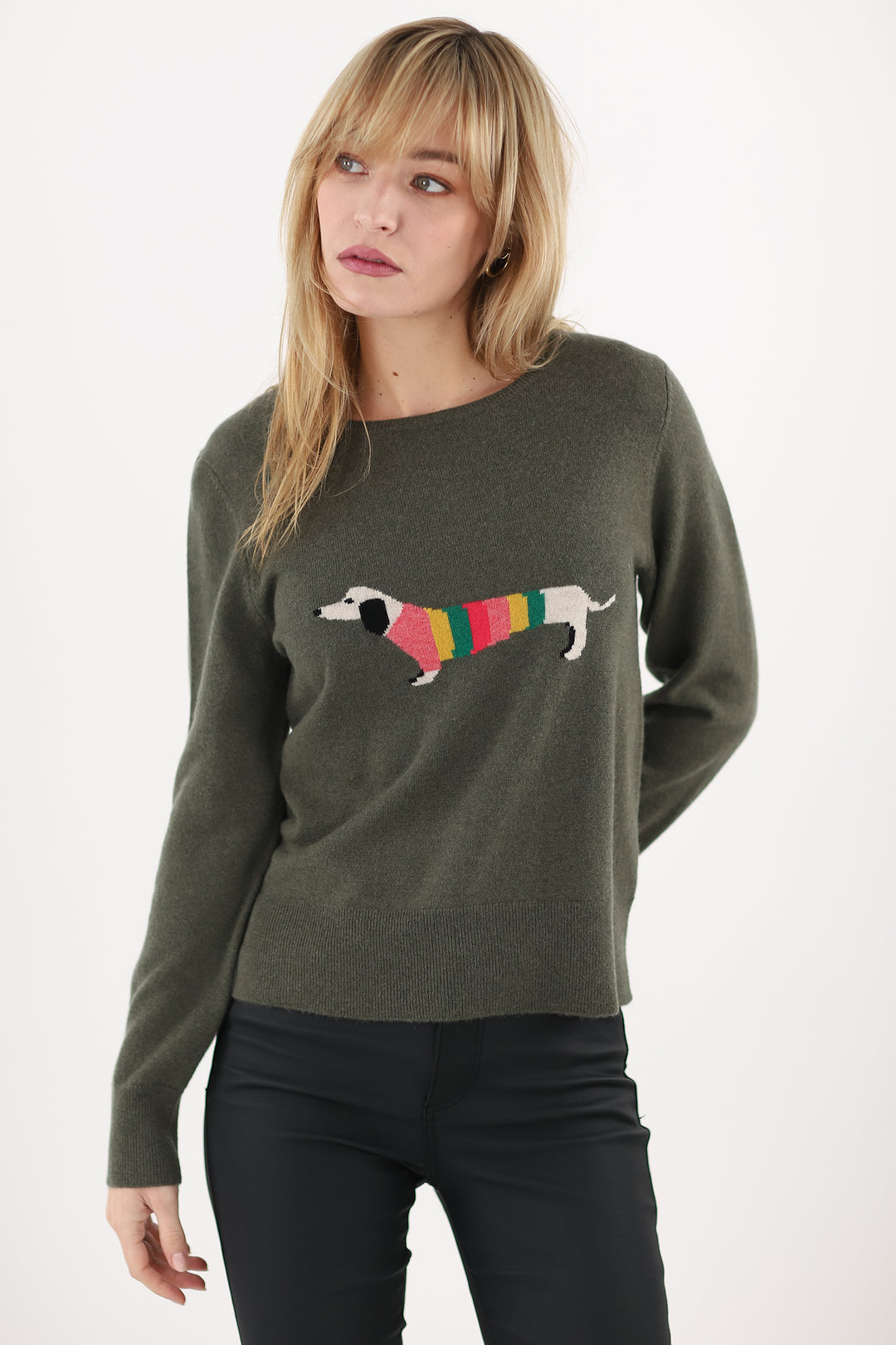 Woman wearing a green sweater with a colorful dog design on a white background